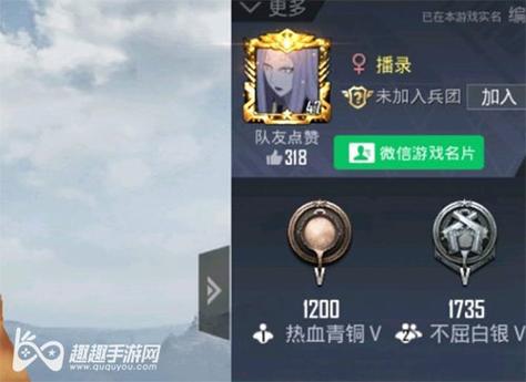 和平精英外挂《速行者》唯一的一款过客户端异常稳定项目稳定无限连打